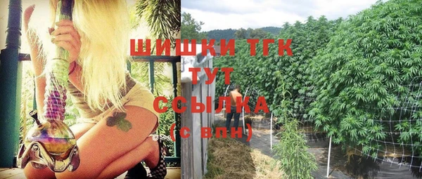 стаф Михайлов