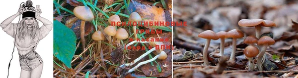 стаф Михайлов