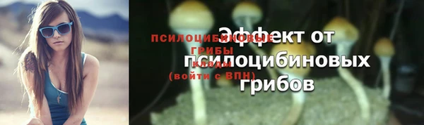стаф Михайлов