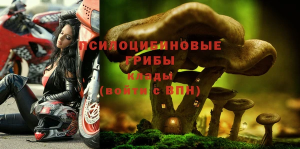 стаф Михайлов