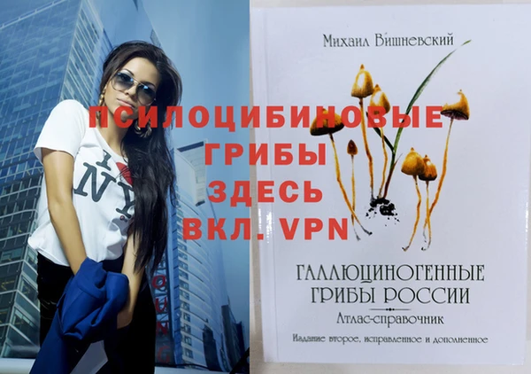 стаф Михайлов