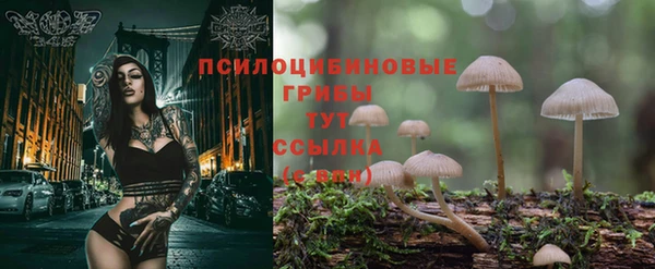 дурь Михайловск