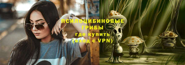 стаф Михайлов